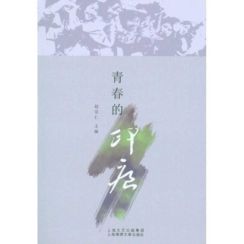 正版青春的印痕赵宗仁书店文学书籍 畅想畅销书