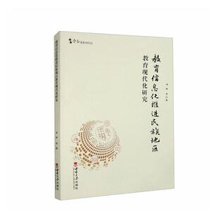 正版 畅想畅销书 教育信息化推进民族地区教育现代化研究徐辉等书店社会科学书籍
