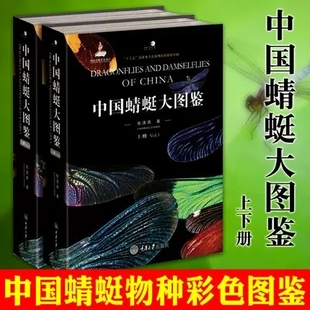 大型图书科学探索蜻蜓鉴定识别图 彩色图鉴 全面介绍蜻蜓知识 蜻蜓知识档案书 正版 中国蜻蜓大图鉴上下册中国蜻蜓物种种类全面