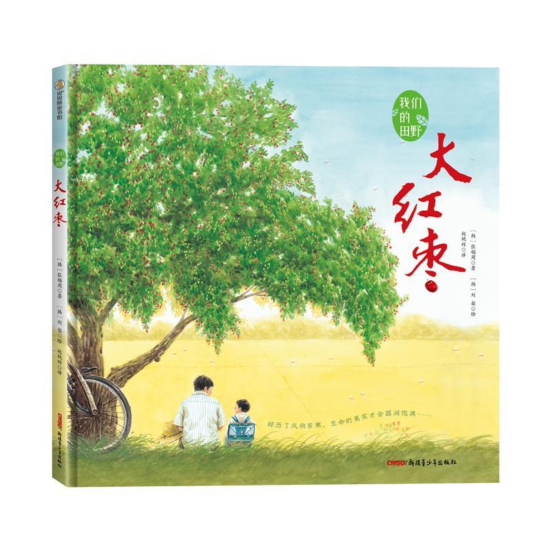 正版大红枣张锡周书店儿童读物书籍 畅想畅销书