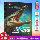 PNSO海洋博物馆上龙 正版 秘密 中小学生课外书阅读书籍 12岁揭秘海洋三四五年级科学与自然生物科学 包邮 电子工业出版 社