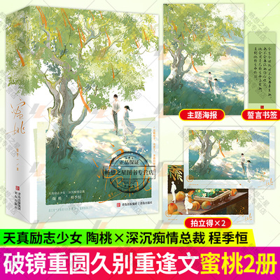 蜜桃 破镜重圆久别重逢  晋江 黑马作者张不一温暖甜蜜之作 追妻火葬场 带球跑 青春言情文学小说实体书图书籍 正版 悦读纪