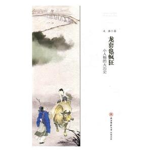 正版包邮 龙套也疯狂:小人物的大历史 文浩 书店 历史随笔书籍 书 畅想畅销书