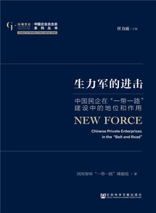 正版包邮 生力军的进击：中国民企在“一带一路”建设中的地位和作用 国观智库一带一路课题组 书店 区域经济书籍 书 畅想畅销书