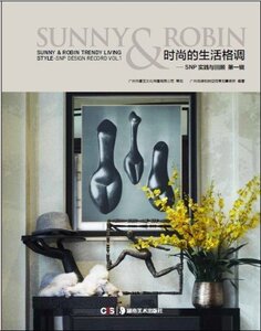 正版包邮 SUNNY & ROBIN时尚的生活格调:SNP实践与回顾:style-SNP design 广州尚诺柏纳空间策划事务所 书店 设计作品书籍