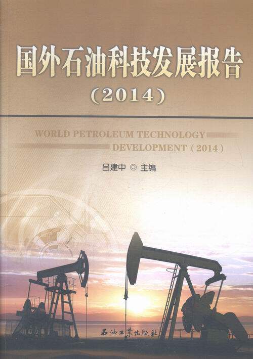 正版包邮 2014-国外石油科技发展报告 吕建中 书店 石油、天然气工业书籍 畅想畅销书