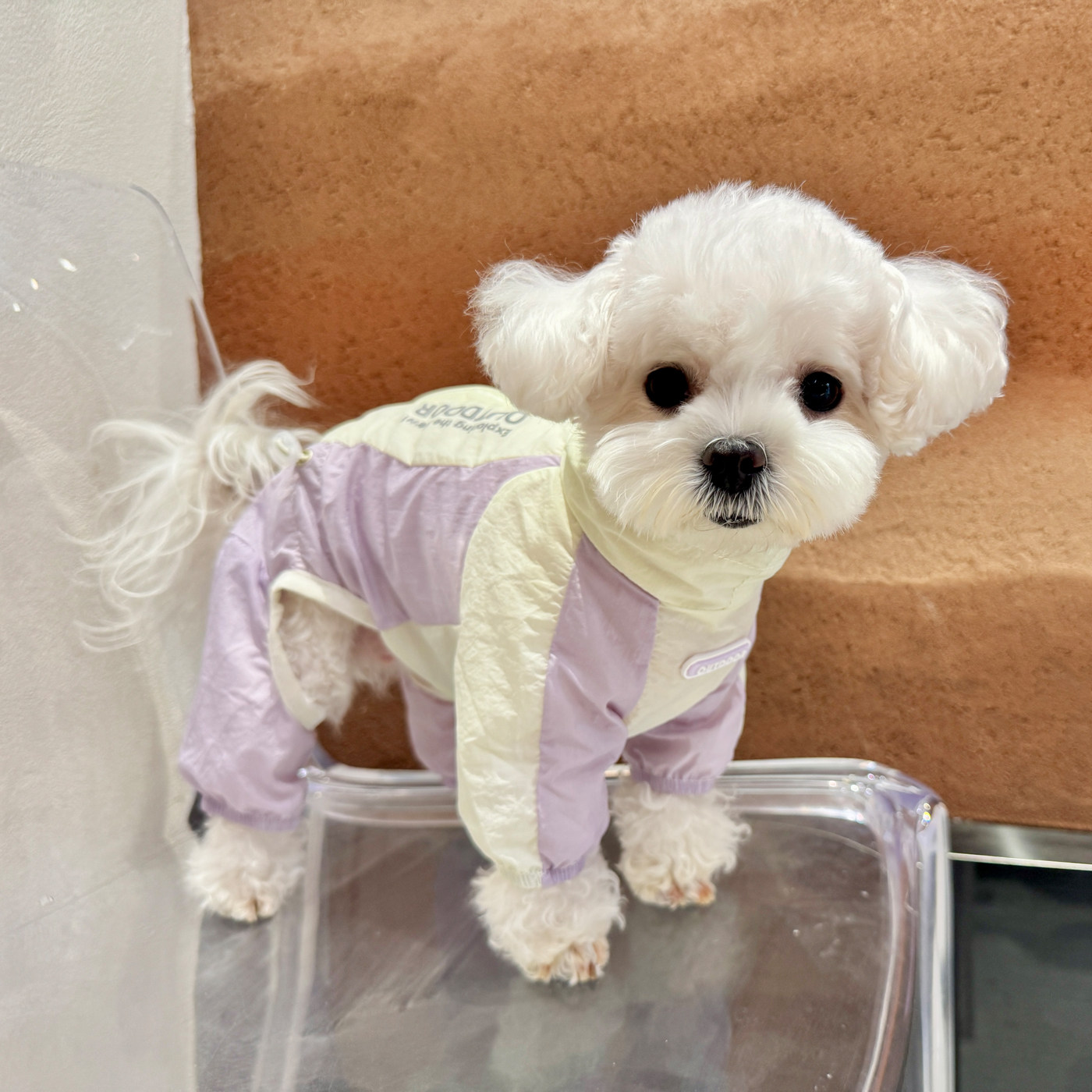 趣派正品狗狗夏天轻薄透气防晒防狗宠物服装/雨衣