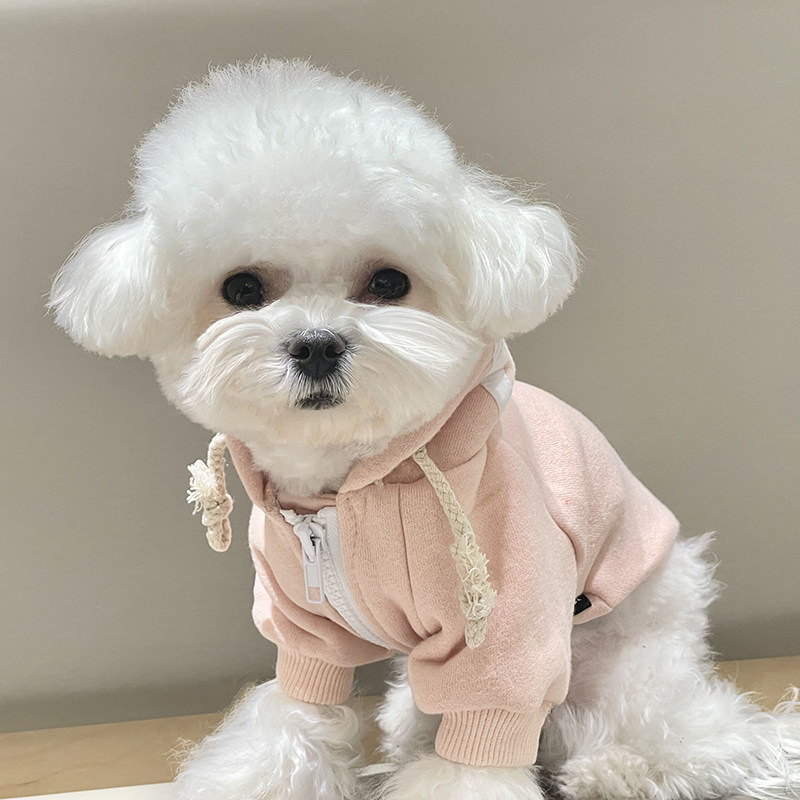 宠物狗狗衣服春秋新款带帽运动卫衣加棉保暖泰迪比熊雪纳瑞猫狗