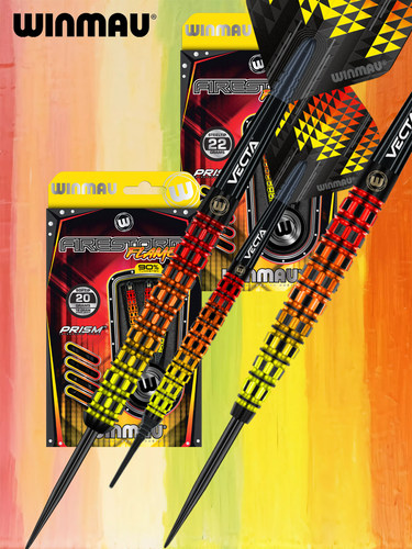 WINMAU90钨比赛通用专业飞镖