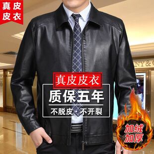 绵羊男士 真好皮皮衣男外套中老年加绒翻领大码 反季 皮夹克 清仓