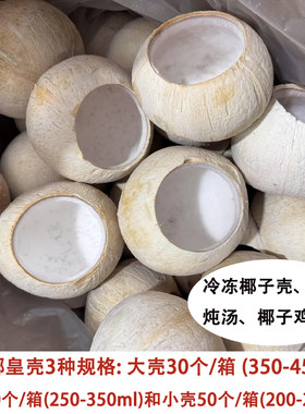 泰国椰皇壳椰子冻椰子碗甜品专用