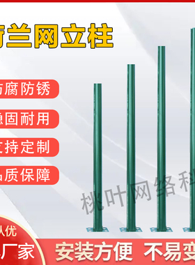 荷兰网立柱铁丝网立柱燕尾柱刺绳立柱钢管立杆支架车间隔离网立柱