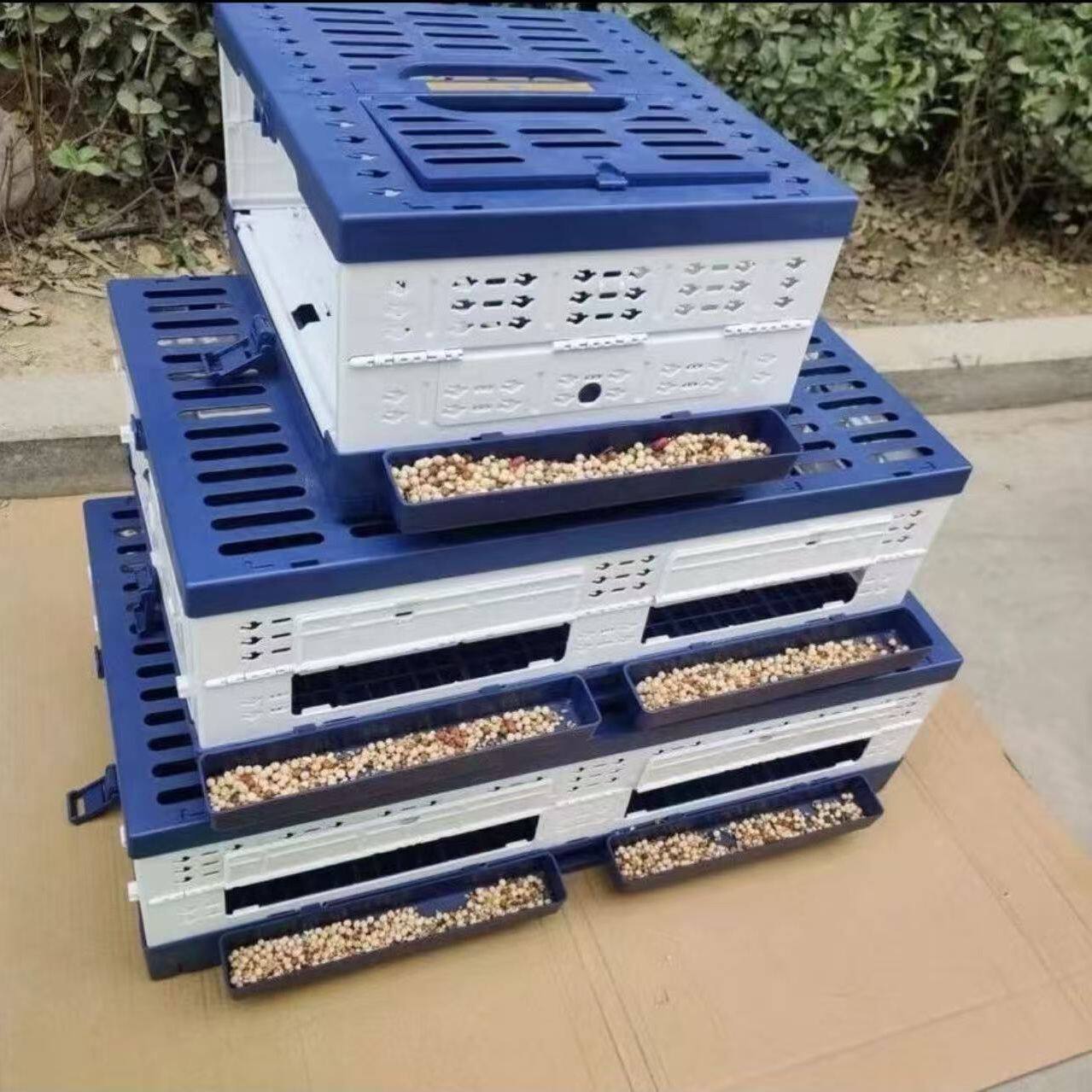 启航训放笼可折叠塑料放飞笼训放笼可挂食盒水盒鸽笼防老化鸽子笼