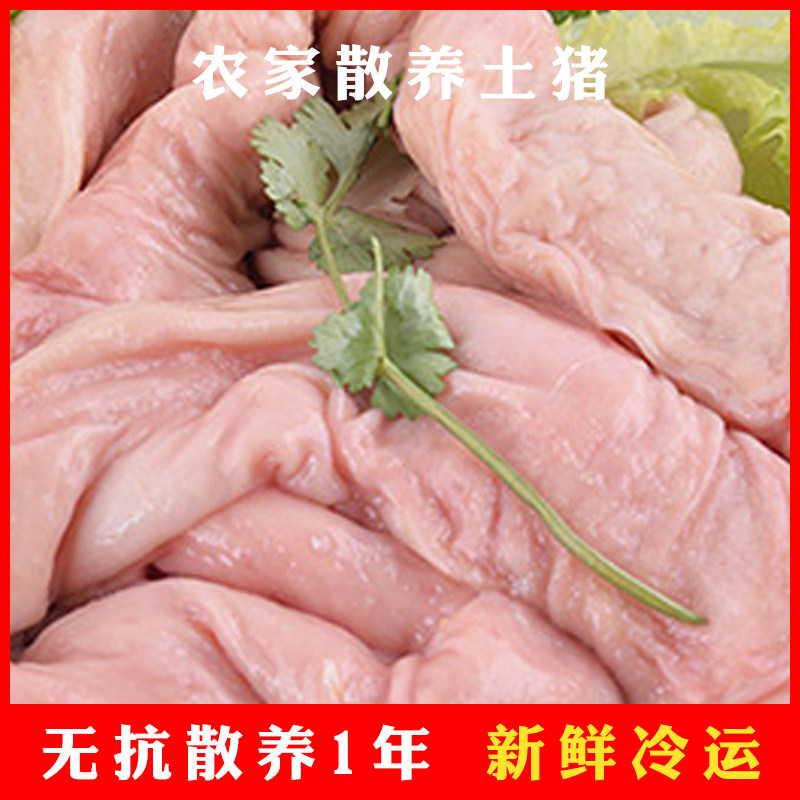生鲜肉猪肉猪大肠段新鲜猪肠子猪下水肥肠红烧煲汤食材