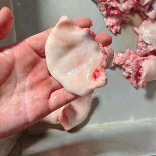 新鲜鲜冻金钱脆骨骨猪水分根部烧烤元宝冷冻食材口条软骨月牙批发