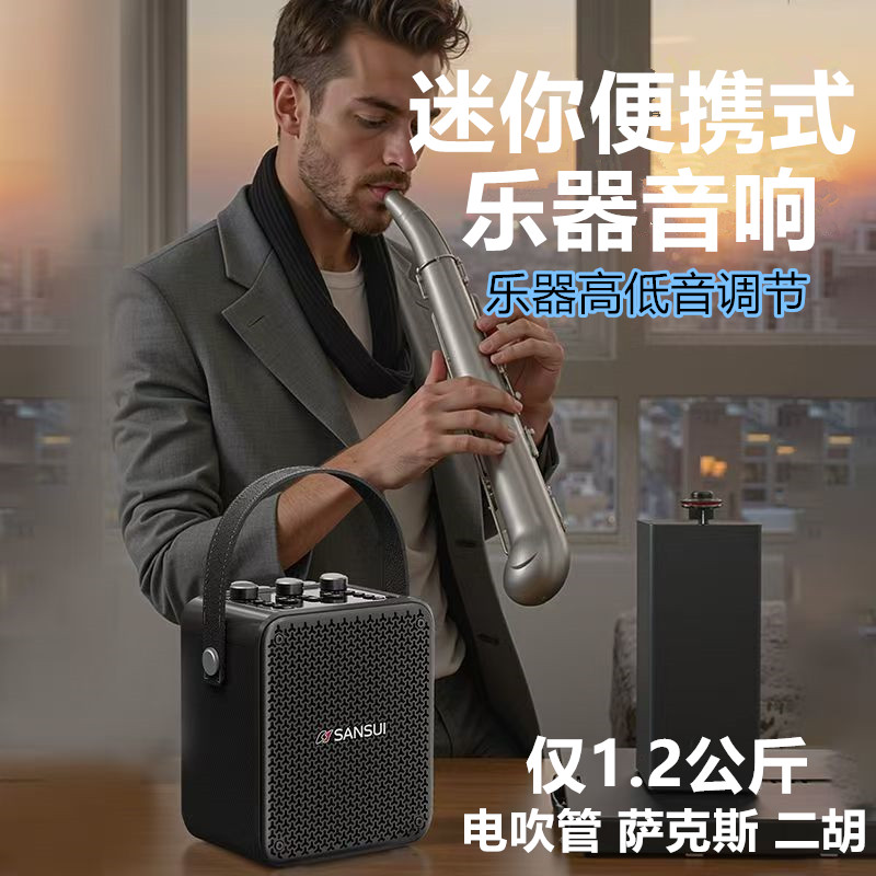 山水T81便携式乐器电吹管二胡小音响户外广场舞K歌手提蓝牙低音炮