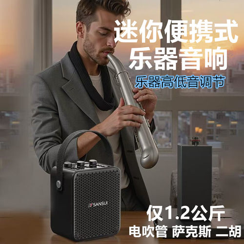 山水便携式电吹管二胡萨克斯音响
