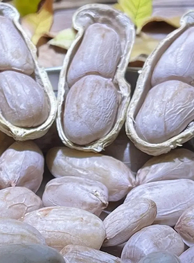 5斤水煮白晒花生】龙岩花生盐水花生咸干花生带壳1斤熟花生不上火