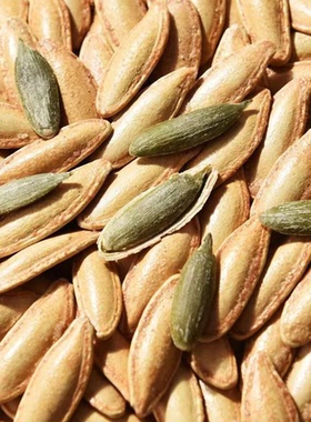 【净重发货】长粒美人甲指甲型原味椒盐焗干炒货南瓜子颗粒饱满