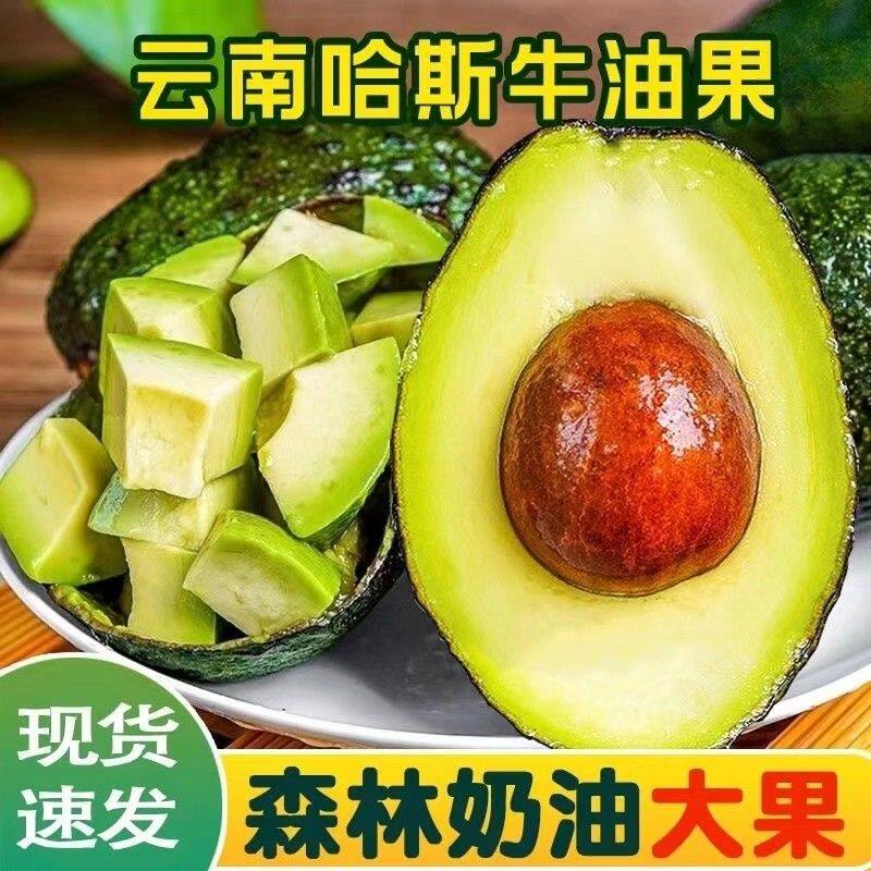 云南孟连牛油果新鲜水果当季国产Hass哈斯鳄梨现摘无黑丝细腻醇香