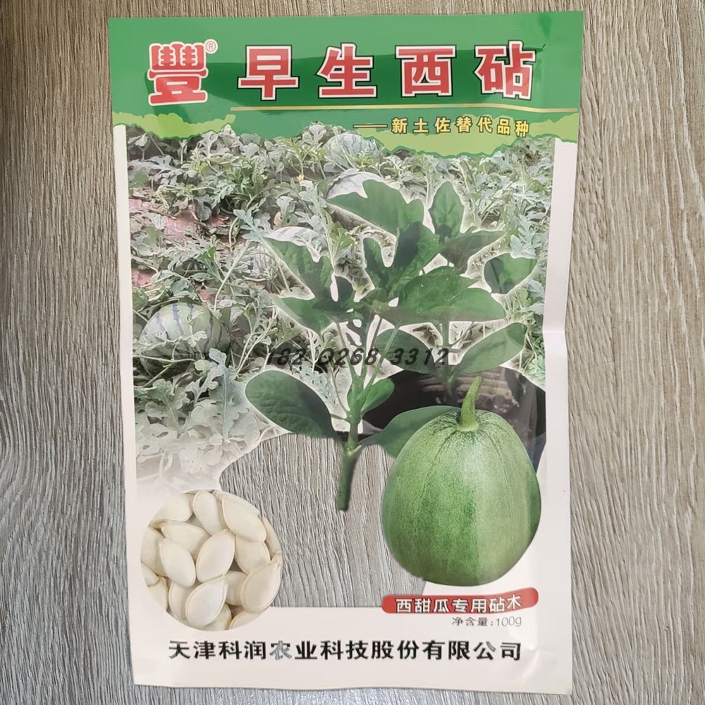 早生西砧木种子 西瓜砧木甜瓜砧木哈密瓜砧木专用100g西甜瓜优质