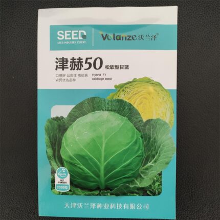 甘蓝8132 津赫创绿先锋松软型甘蓝种子洋白菜种子研究所蔬菜种子