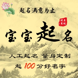 宝宝起名取名一对一的策划报告小孩子新生婴儿人工取名字满意为止