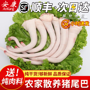 新鲜猪尾巴短中长多规格可选