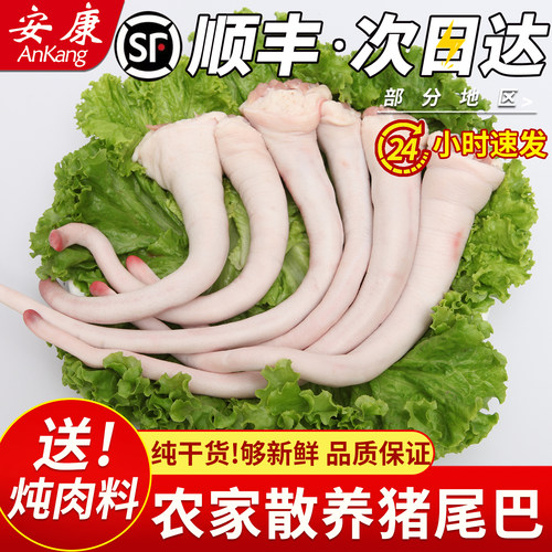 新鲜猪尾巴短中长多规格可选