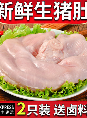 新鲜生猪肚2个装猪胃猪肚鸡
