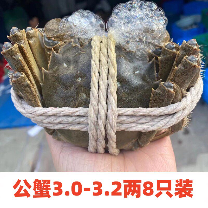 重庆现货满膏鲜活大闸蟹3.0-3.2两全公蟹8只装鲜活螃蟹特大蟹顺丰