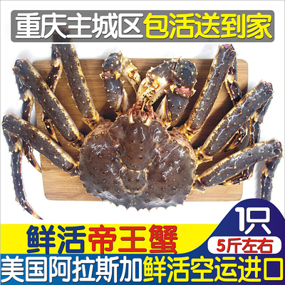 重庆现货深海鲜活帝王蟹