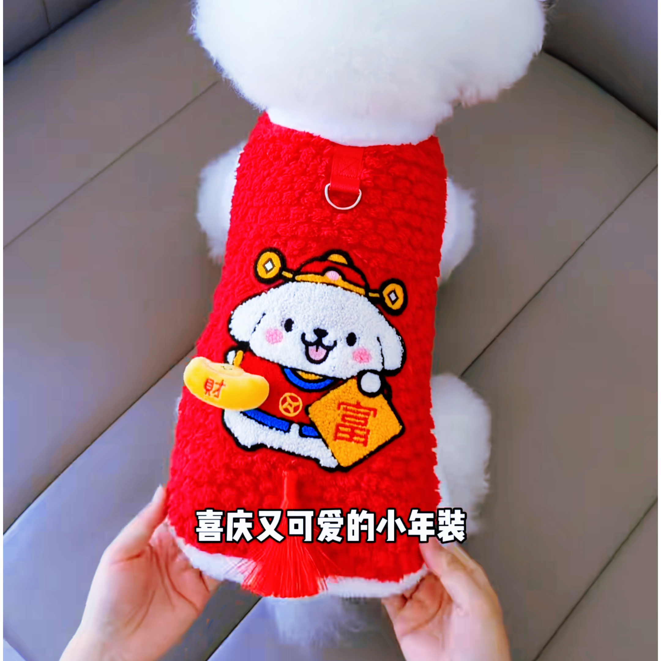狗狗衣服小狗秋冬新年装喜庆过年加厚保暖比熊猫咪布偶宠物服饰