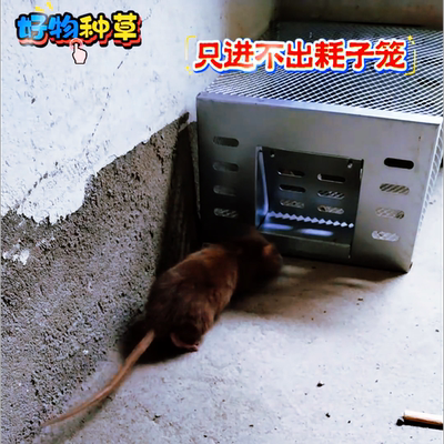 捕鼠器新型连续全自动老鼠笼家用智能款灭鼠夹抓捉耗子先锋神器