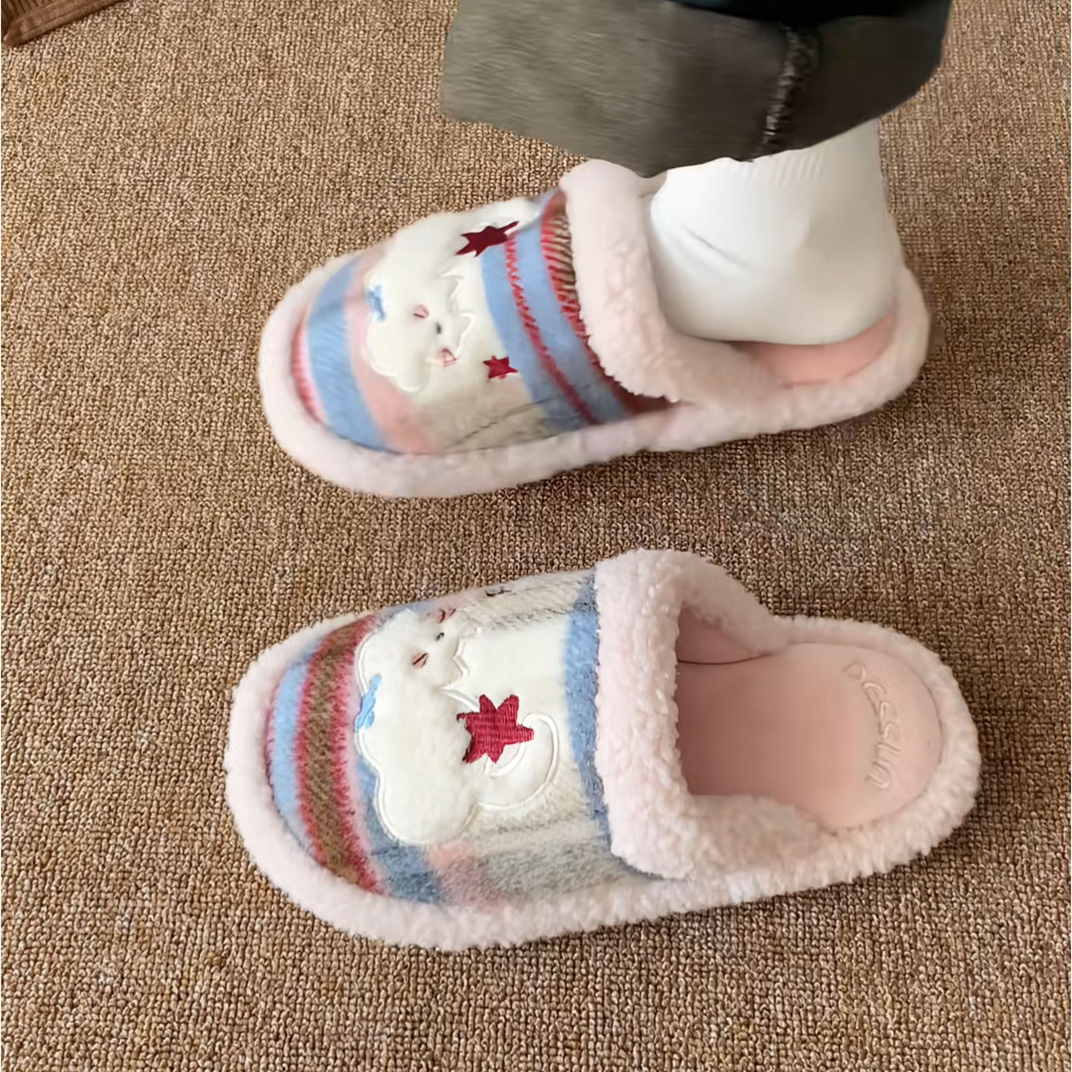 拖鞋棉拖鞋2025冬季平底毛毛女可外穿时尚毛绒新款男士棉拖2026