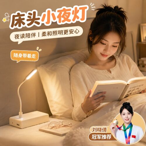 LED迷你USB随身小夜灯充电宝
