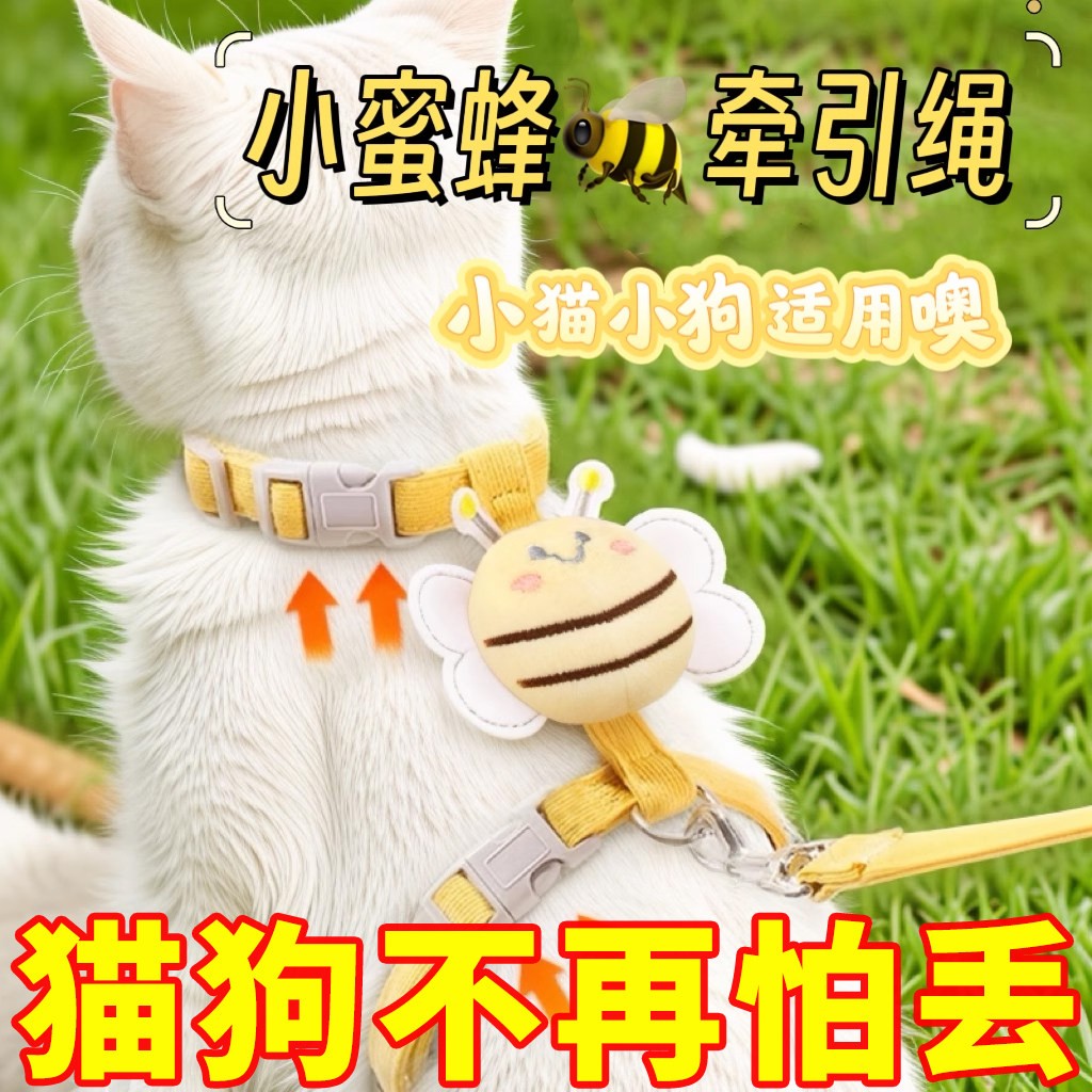 猫咪牵引绳防挣脱外出宠物链子
