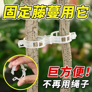 绿植果树植物固定夹卡扣藤蔓固定器秧苗爬藤支撑杆果蔬秧苗吊秧夹