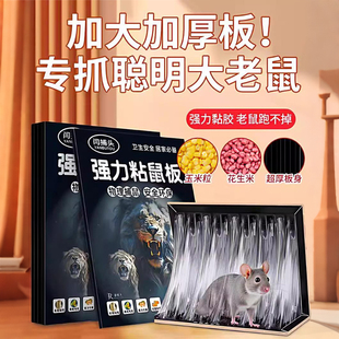 老鼠贴超强力粘鼠板抓大老鼠夹扑捉灭鼠胶沾正品 家用捕鼠神器