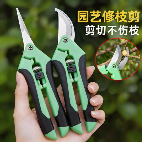 摘果剪强力修枝剪子园林稀果花艺剪葡萄水果专用剪刀蔬果采摘剪子