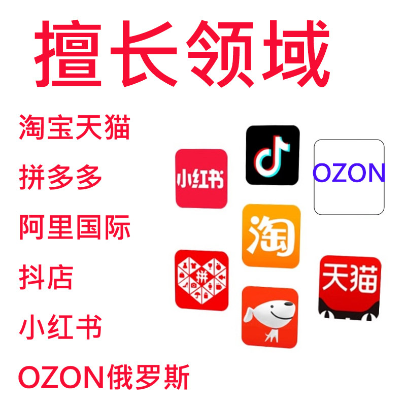 个人淘宝网店托管拼多多抖店天猫商务服务