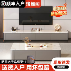 Крупные бытовые приборы 轻奢岩板茶几客厅家用2024新款小户型简约高级感茶几电视柜组合