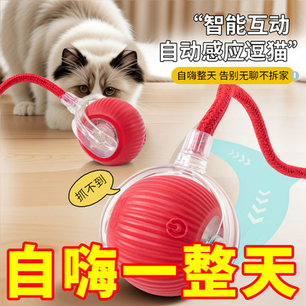 猫玩具猫咪高灵敏逗猫球趣味小猫躲避宠物电动突工具
