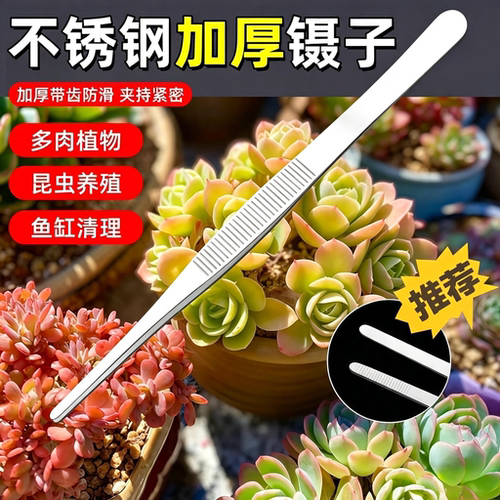 超长镊子不锈钢加长加厚取物夹子喂乌龟多肉园艺水草鱼缸工具蝎子