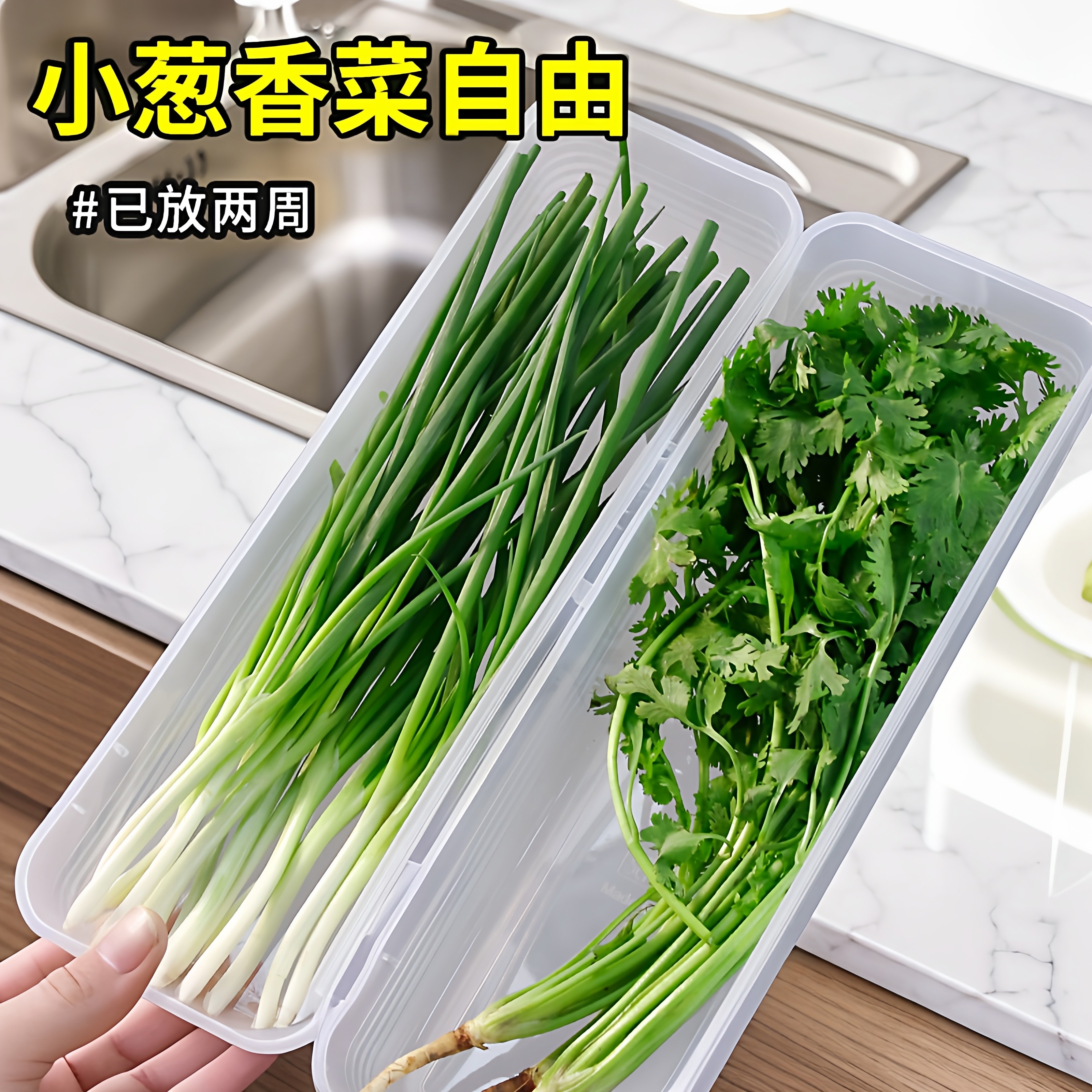 保鲜盒大葱香菜芫荽整根姜蒜挂面条鸡蛋收纳整理盒冰箱适用