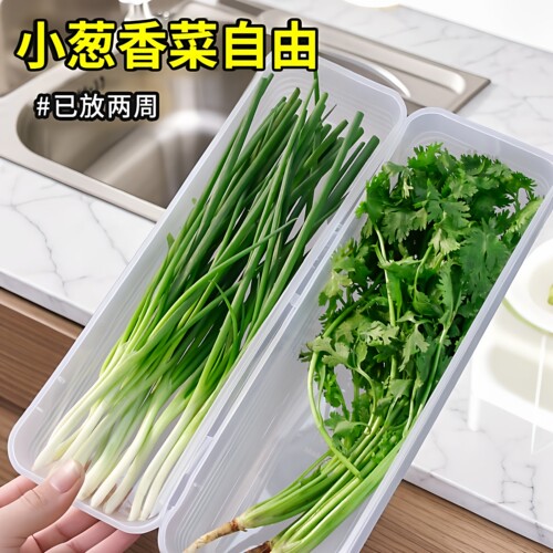 保鲜盒大葱香菜芫荽整根姜蒜挂面条鸡蛋收纳整理盒冰箱适用