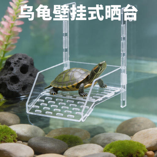 乌龟晒台亚克力深水晒背爬台壁挂式透明造景爬梯高水位休息浮台