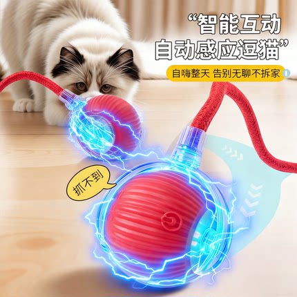 猫玩具猫咪高灵敏逗猫球趣味小猫躲避宠物电动突工具