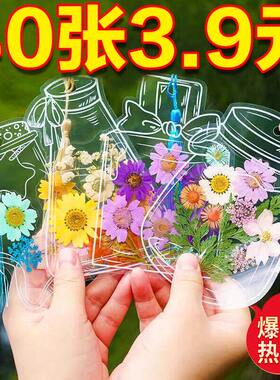 小学生DIY透明标本瓶干花材料