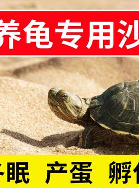 乌龟冬眠用品专用沙子爬宠